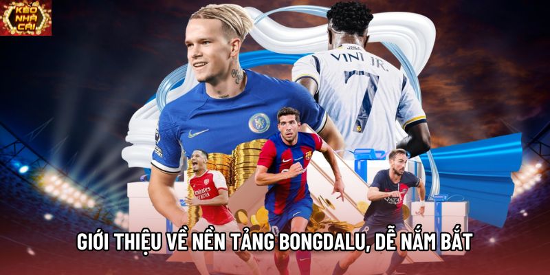 Giới thiệu về nền tảng Bongdalu, dễ nắm bắt Giới thiệu về nền tảng Bongdalu, dễ nắm bắt