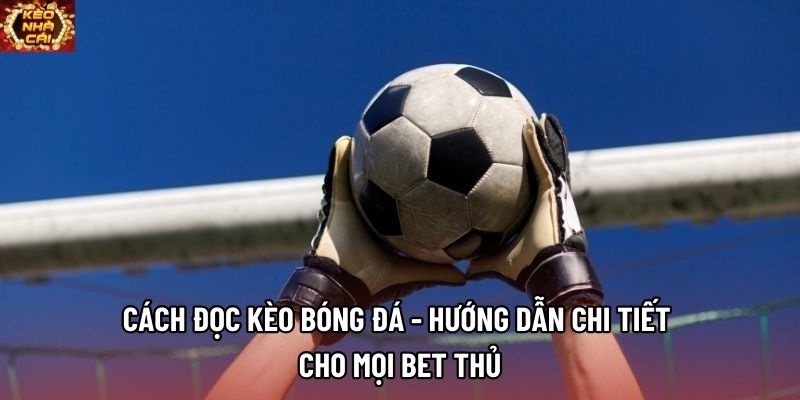 Cách Đọc Kèo Bóng Đá - Hướng Dẫn Chi Tiết Cho Mọi Bet Thủ