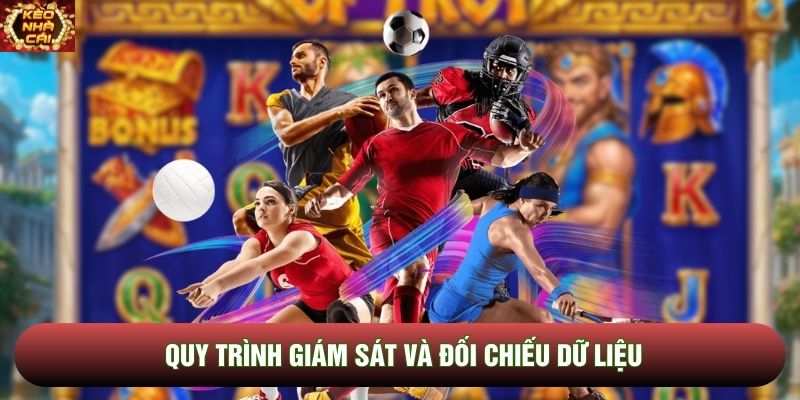 Quy trình giám sát và đối chiếu dữ liệu