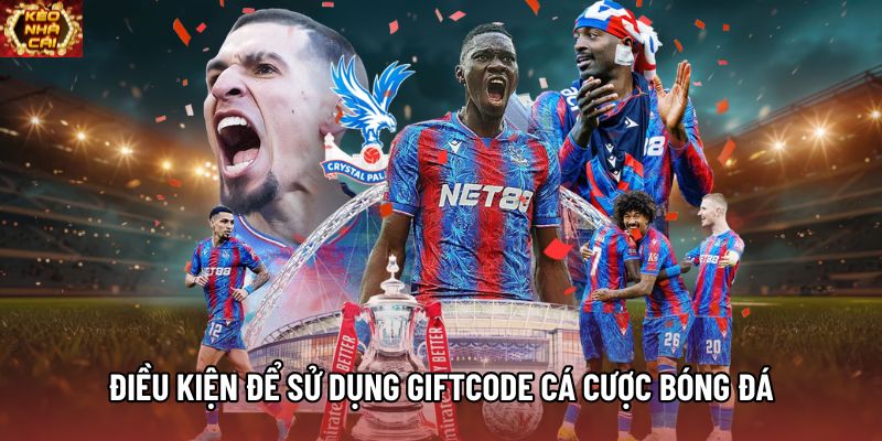Điều kiện để sử dụng giftcode cá cược bóng đá Điều kiện để sử dụng giftcode cá cược bóng đá