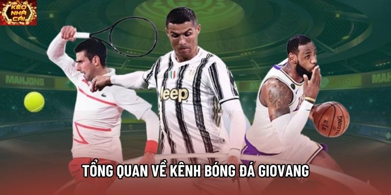 Tổng quan về kênh bóng đá Giovang